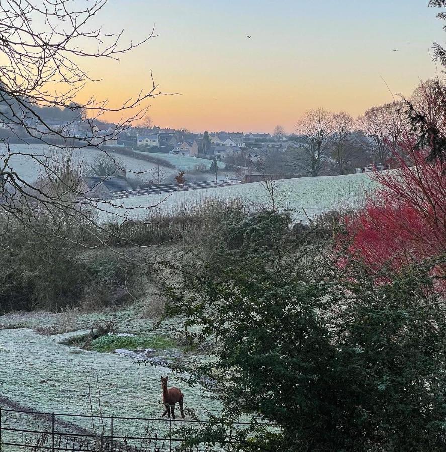 Cotswold Coombe Cottage Wotton-under-Edge Esterno foto
